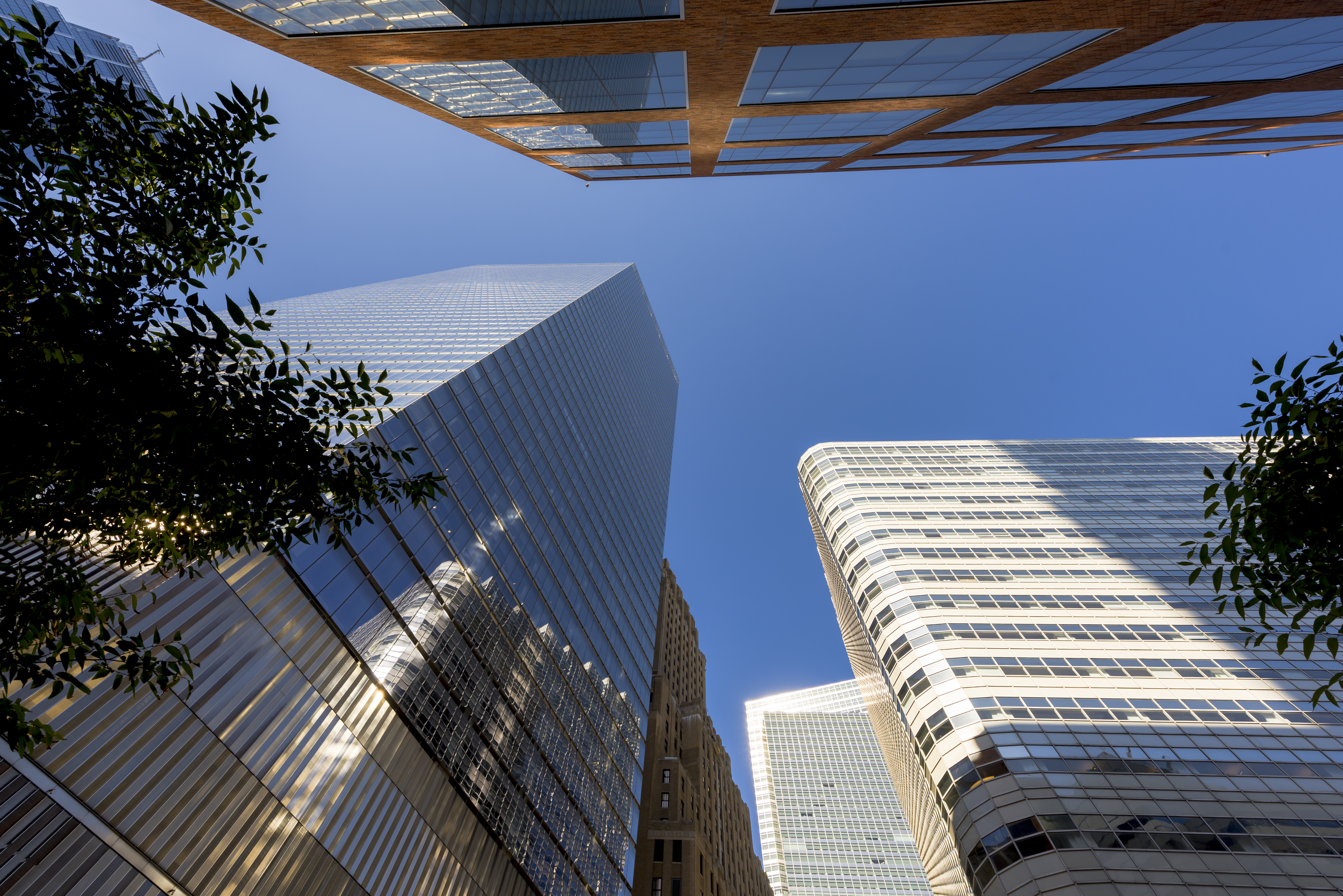 skyscrapers
